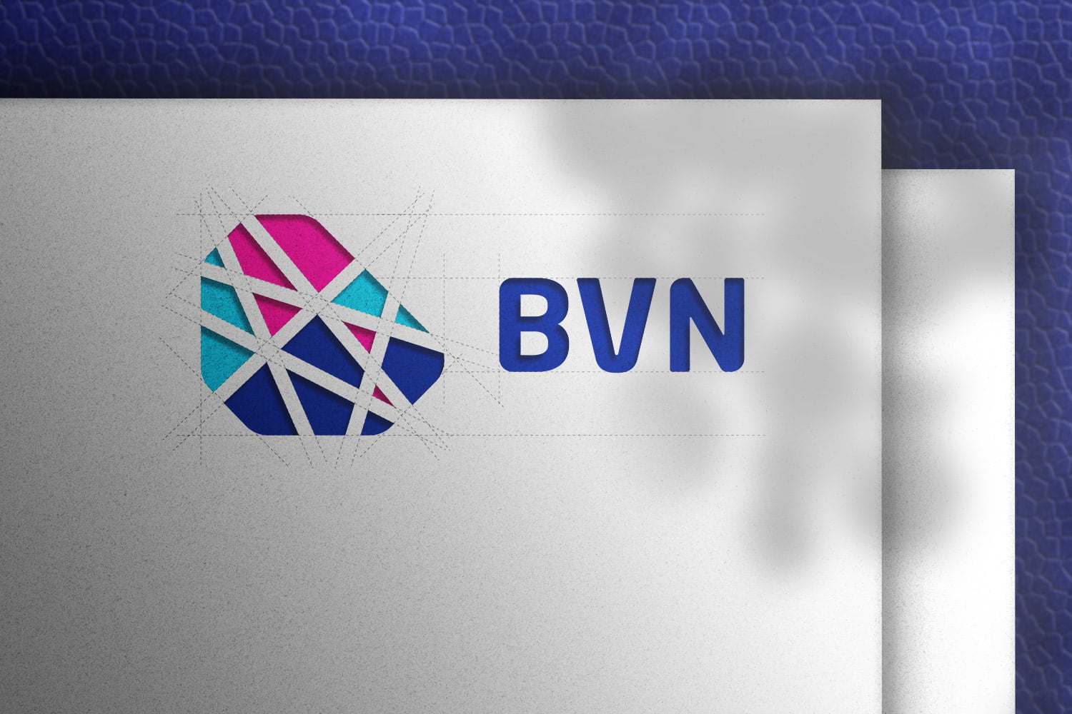 BVN logo